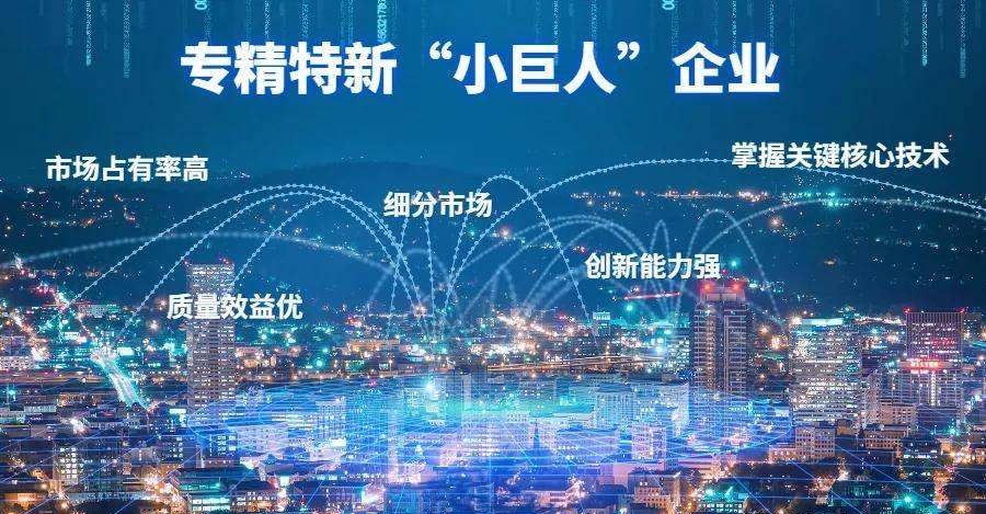 專(zhuān)精特新企業(yè)認(rèn)定
