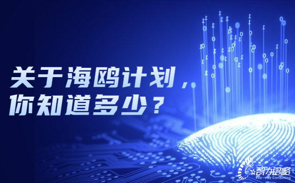 關(guān)于海鷗計劃，你知道多少？.jpg