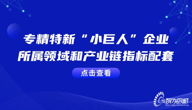 專精特新“小巨人”企業(yè)的所屬領域和產(chǎn)業(yè)鏈指標配套.jpg