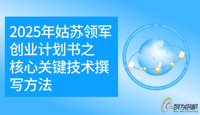 2025年姑蘇領(lǐng)軍創(chuàng)業(yè)計(jì)劃書(shū)之核心關(guān)鍵技術(shù)撰寫(xiě)方法.jpg