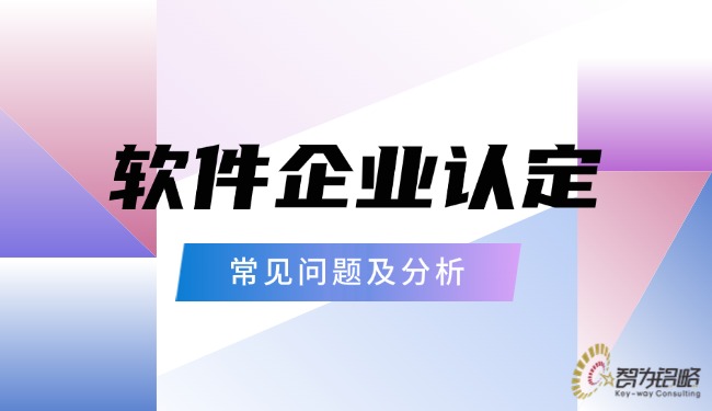 軟件企業(yè)認定的常見問題及分析
