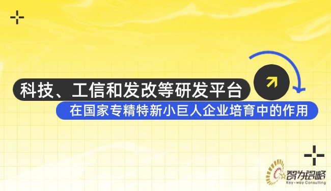 科技、工信和發(fā)改等研發(fā)平臺(tái)在國家專精特新小巨人企業(yè)培育中的作用.jpg