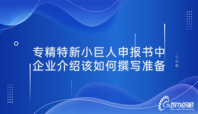 專精特新小巨人申報(bào)書中的企業(yè)介紹該如何撰寫準(zhǔn)備.jpg