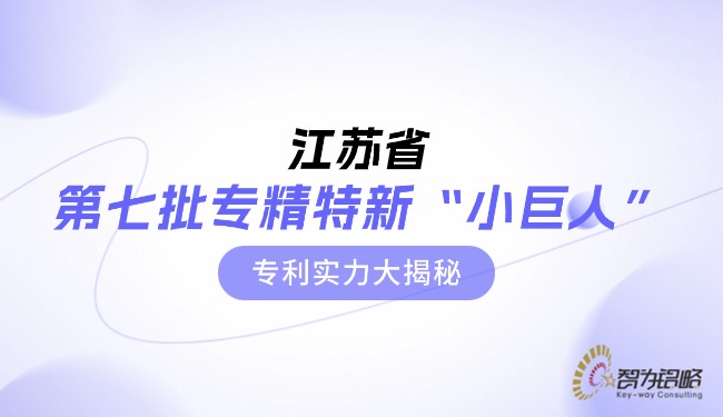 江蘇省*七批專精特新“小巨人”專利實力大揭秘.jpg