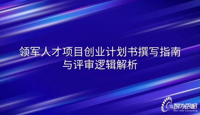 領(lǐng)軍人才項(xiàng)目創(chuàng)業(yè)計(jì)劃書(shū)撰寫(xiě)指南與評(píng)審邏輯解析.jpg