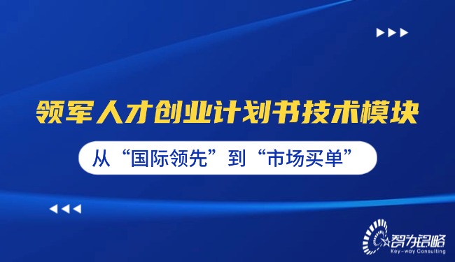 領(lǐng)軍人才創(chuàng)業(yè)計劃書技術(shù)模塊—從“國際**”到“市場買單”.jpg