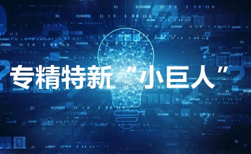 關(guān)于印發(fā)蘇州高新區(qū)（虎丘區(qū)）促進(jìn)中小企業(yè)“專(zhuān)精特新”高質(zhì)量發(fā)展行動(dòng)計(jì)劃通知【智為銘略轉(zhuǎn)發(fā)】